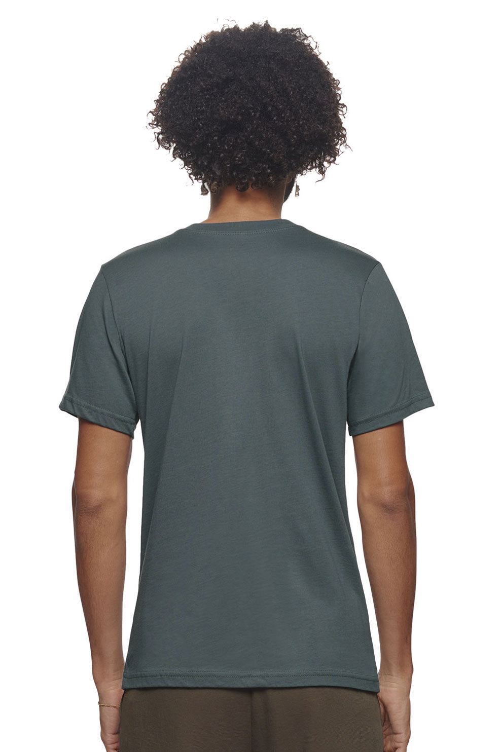 Expert Brand Wholesale Unisex Organic Cotton Tee Made in USA SC801U Carbon Image 2#carbon